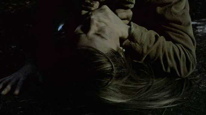 The rape scene of the movie "promenons nous dans les bois"